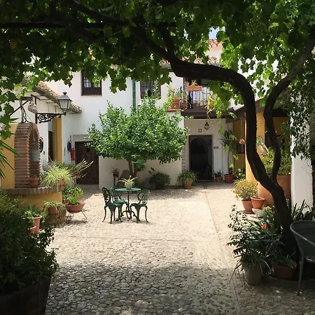فندق Hotel-museo Molino De Los Abuelos 3*