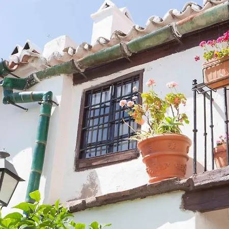 Hotel-museo Molino De Los Abuelos فندق