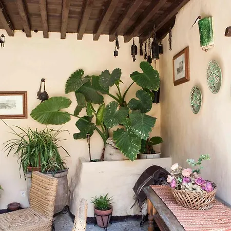 فندق Hotel-museo Molino De Los Abuelos 3*