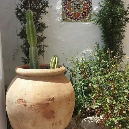 Hotel-museo Molino De Los Abuelos فندق