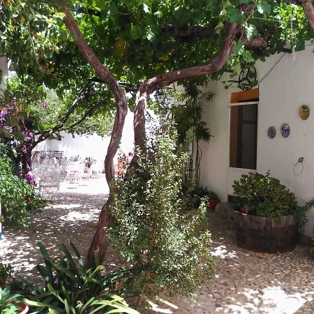 Hotel-museo Molino De Los Abuelos 3* Comares